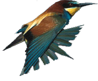 Copy Not Allowed! Contact webmaster@tbeck-webdesign.de for a Quality-Print-Version