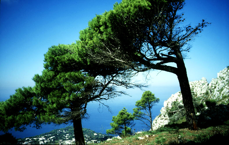 Copy Not Allowed! Contact webmaster@tbeck-webdesign.de for a Quality-Print-Version