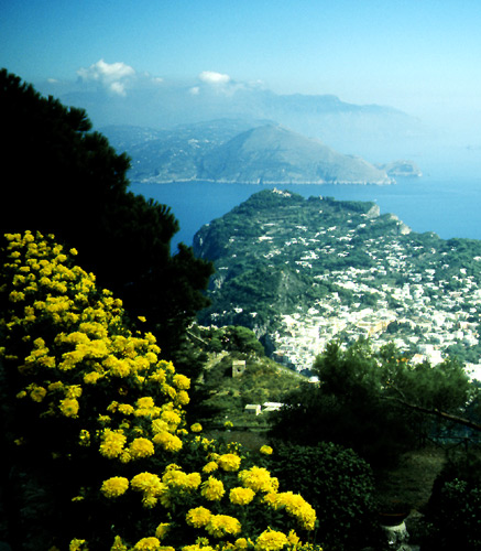 Copy Not Allowed! Contact webmaster@tbeck-webdesign.de for a Quality-Print-Version