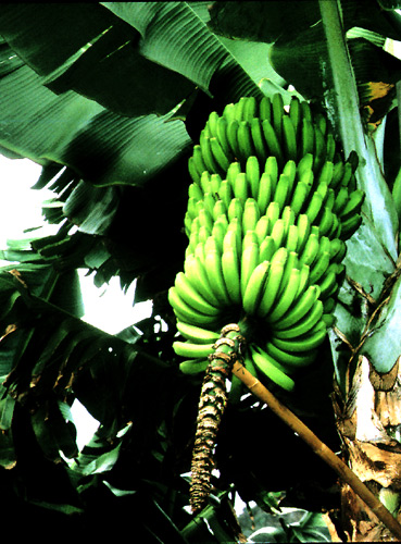 Copy Not Allowed! Contact webmaster@tbeck-webdesign.de for a Quality-Print-Version