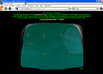 Die Rache der Qualle