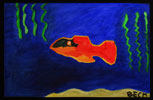 Orange Fish